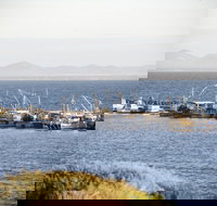 Portarlington - 2032 Olympic Games