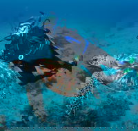 Second Reef Dive Site - 2032 Olympic Games