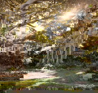 Wendy Whiteley's Secret Garden - 2032 Olympic Games