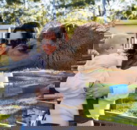 White Ridge Farm - 2032 Olympic Games