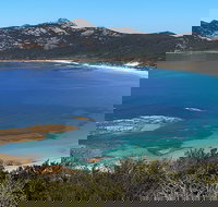 Whitemark - 2032 Olympic Games