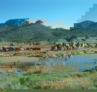 Biggenden - 2032 Olympic Games