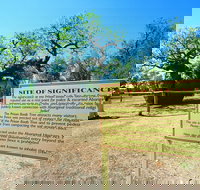 Boab Prison Tree - 2032 Olympic Games