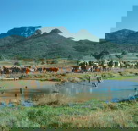 Bundaberg- Biggenden- Mount Perry Circle - 2032 Olympic Games