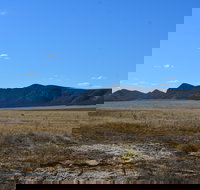 Darke Peak Scenic Drive - 2032 Olympic Games