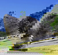 Dog Rock - 2032 Olympic Games