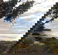 Fish Cannery Walking Trail - 2032 Olympic Games