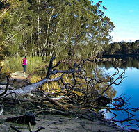 Five Islands Walking Track - 2032 Olympic Games