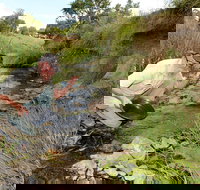 Gold Panning Deep Creek - 2032 Olympic Games