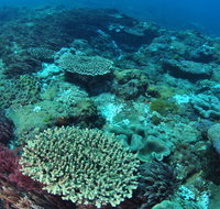 Hanging Rock Dive Site - 2032 Olympic Games