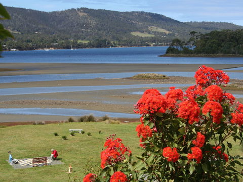 Inverawe Native Gardens - 2032 Olympic Games 1
