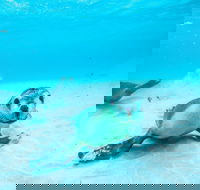 Jurien Bay - 2032 Olympic Games