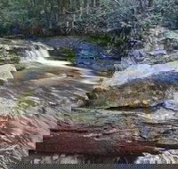 Liffey Falls Reserve - 2032 Olympic Games