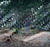 Nerang Mountain Bike Trails - 2032 Olympic Games