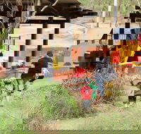 Rouse Hill picnic area and playground - 2032 Olympic Games