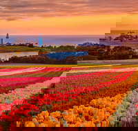 Table Cape - 2032 Olympic Games