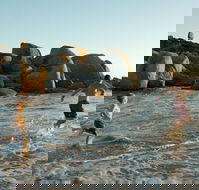 Venus Bay - 2032 Olympic Games