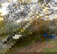 Yarrangobilly Caves  River walk - 2032 Olympic Games
