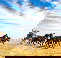 7 Day Outback Giants - 2032 Olympic Games