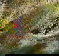 Australian Arid Lands Botanic Garden - 2032 Olympic Games