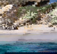 Australian Sea Lions - 2032 Olympic Games