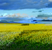 Borden - 2032 Olympic Games