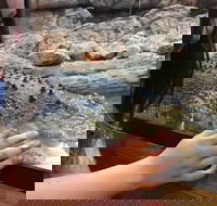 Canberra Reptile Zoo - 2032 Olympic Games
