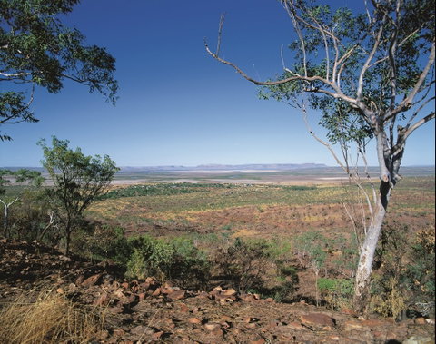 Five Rivers Lookout - 2032 Olympic Games 0