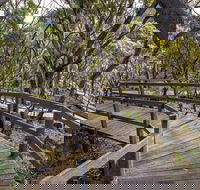 Governor Summit Corrunbral Borawah Walking Track - 2032 Olympic Games