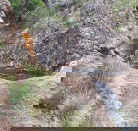 Mill-bullah Walking Track - 2032 Olympic Games