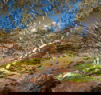 Mount Grenfell Historic Site - 2032 Olympic Games