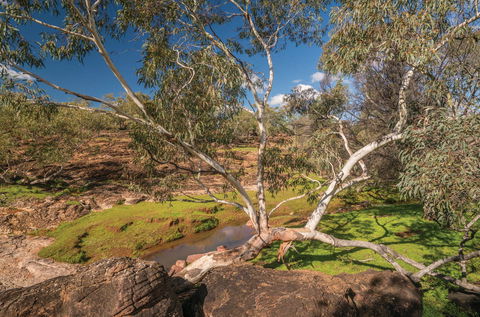 Mount Grenfell Historic Site - 2032 Olympic Games 0