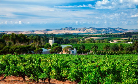 Seppeltsfield Road Barossa Valley - 2032 Olympic Games 1