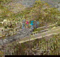 Walpole Wilderness Discovery Centre - 2032 Olympic Games