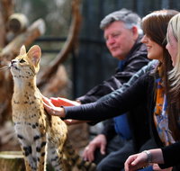 Werribee Open Range Zoo - 2032 Olympic Games