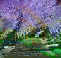 Alowyn Gardens and Nursery - 2032 Olympic Games