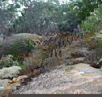 Dergholm State Park - 2032 Olympic Games