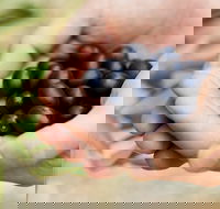 Eat Pick Grow Trail - Wanneroo and Chittering - 2032 Olympic Games