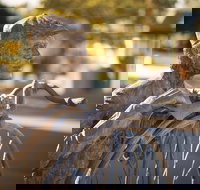 Evandale - 2032 Olympic Games