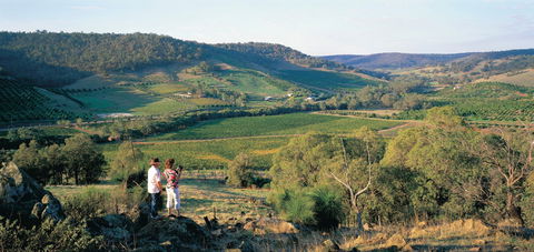 Farm Flavour Trail, Chittering Valley - 2032 Olympic Games 0