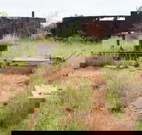 Ghans Bore No7 Govt Bore - 2032 Olympic Games