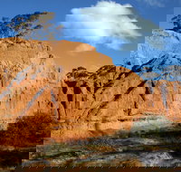 Red Banks Conservation Park - 2032 Olympic Games