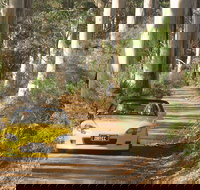 Scotsdale Tourist Drive - 2032 Olympic Games