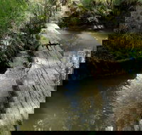 Second Ponds Creek Walk - 2032 Olympic Games