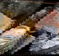 The House of Honey - 2032 Olympic Games