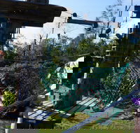 Trees Adventure - Lane Poole Park - 2032 Olympic Games