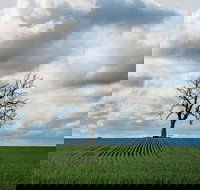 Clare Valley - 2032 Olympic Games