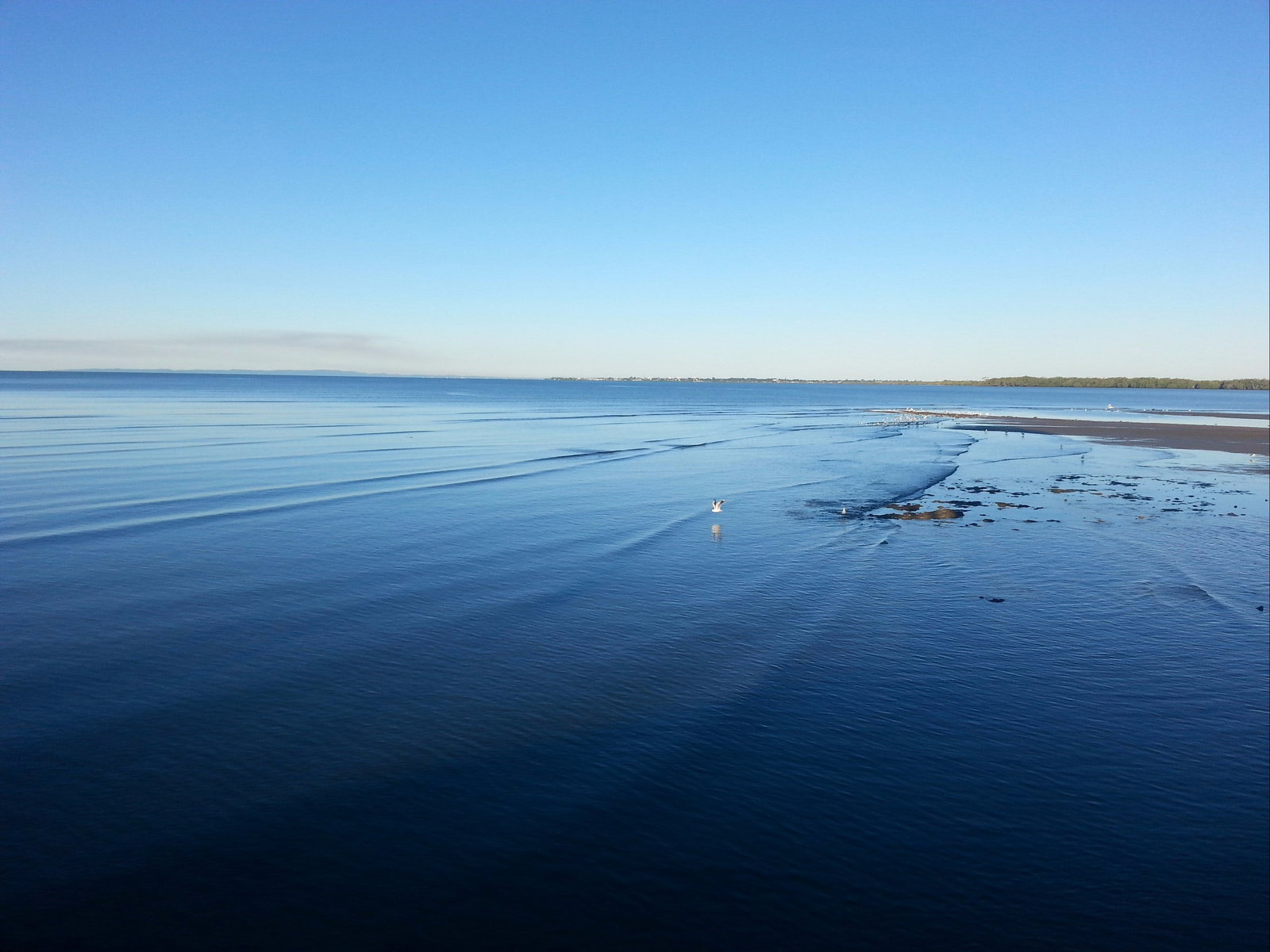 Deception Bay North QLD 2032 Olympic Games