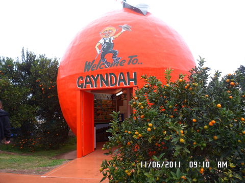Gayndah's Big Orange - 2032 Olympic Games 2