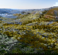 Gold Coast Hinterland Great Walk - 2032 Olympic Games